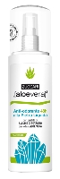 ALOEVERA2 ANTIODOR PIETRA LIQ