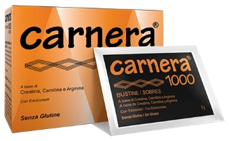 CARNERA 1000 18BUST