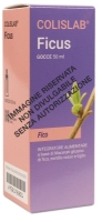  FICUS COMP GTT 50ML