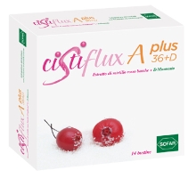 CISTIFLUX A PLUS 36+D BUST