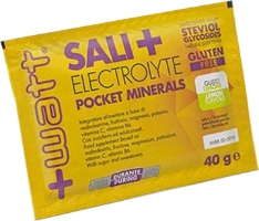 SALI+ LIMONE MINERAL POCKET40G