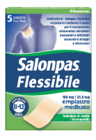 SALONPAS FLESSIBILE*5CER7X10CM