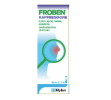 FROBEN RAFFREDDORE*15ML 0,05%